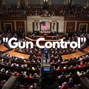 Gun Control Bills passed by the US House