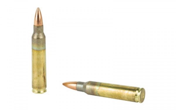 Fiocchi .223rem 55gr FMJBT ammunition