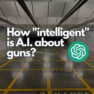 Can AI understand firearms?