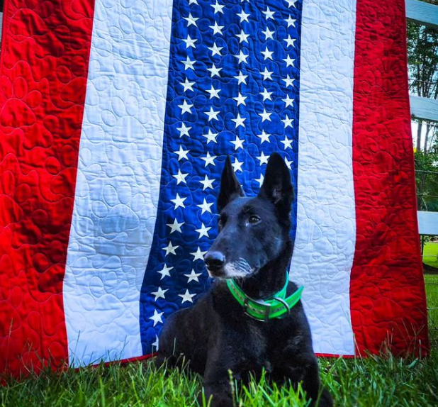 Custom America Quilt by Quilts for K9s