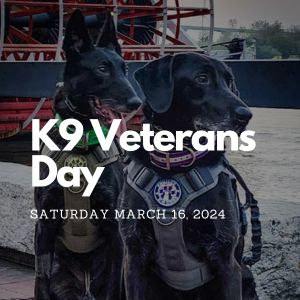 K9 Veterans Day 2024
